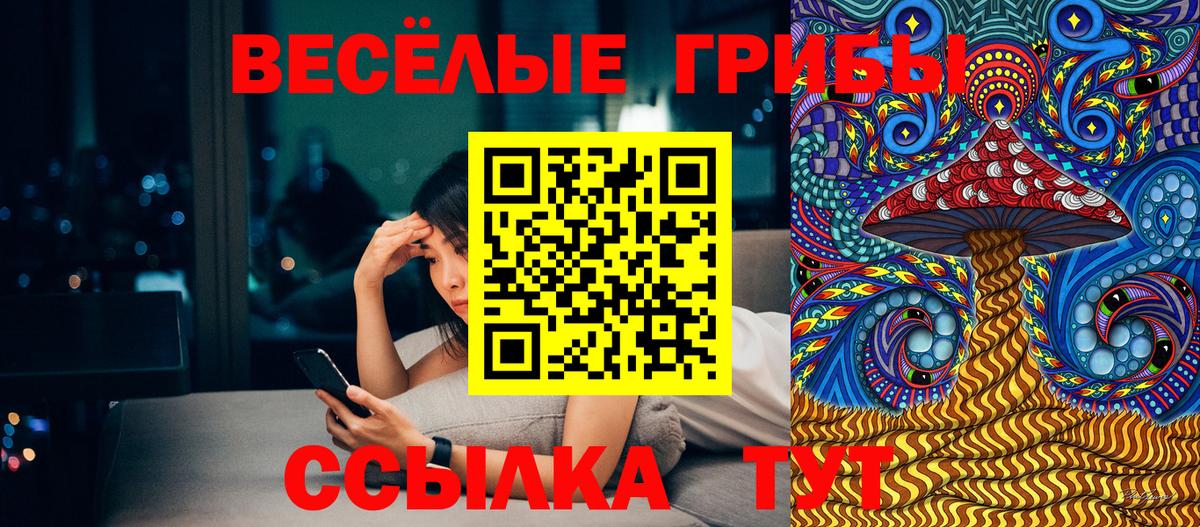 Евпатория  Псилоцибиновые грибы Psilocybe  Вход с VPN  Псилоцибиновые грибы мухоморы 